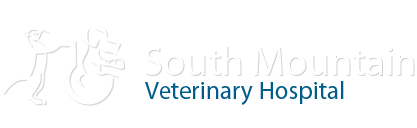 South Mountain Veterinary Hospital